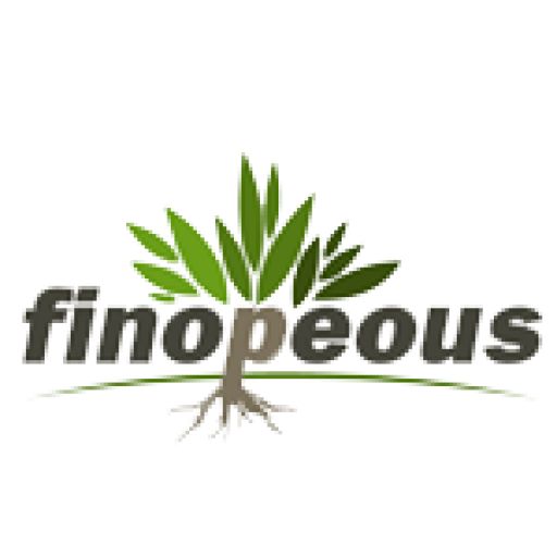 FINOPEOUS PACKAGING INDUSTRIES SDN BHD FINOPEOUS PACKAGING INDUSTRIES SDN BHD